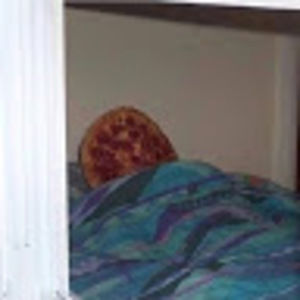 Meet your Posher, Kendall